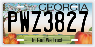 GA license plate PWZ3827