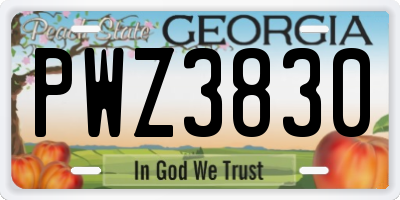 GA license plate PWZ3830