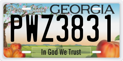 GA license plate PWZ3831