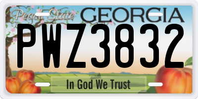 GA license plate PWZ3832
