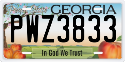 GA license plate PWZ3833