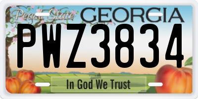 GA license plate PWZ3834
