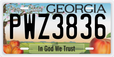 GA license plate PWZ3836