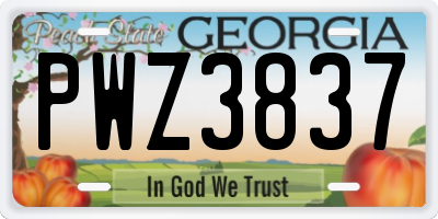 GA license plate PWZ3837