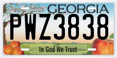 GA license plate PWZ3838