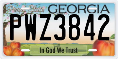 GA license plate PWZ3842