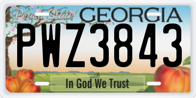 GA license plate PWZ3843