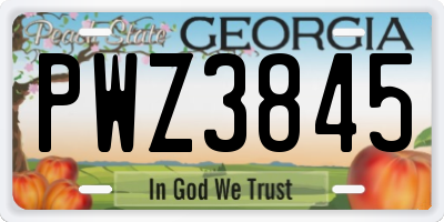 GA license plate PWZ3845