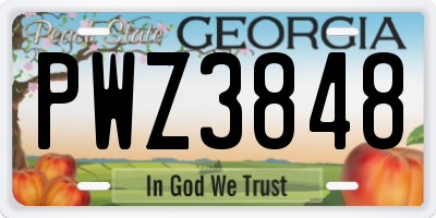 GA license plate PWZ3848