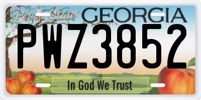 GA license plate PWZ3852