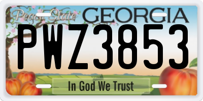 GA license plate PWZ3853