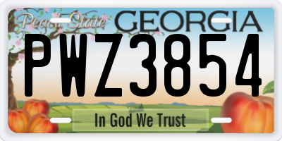 GA license plate PWZ3854