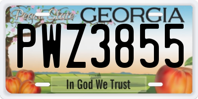 GA license plate PWZ3855
