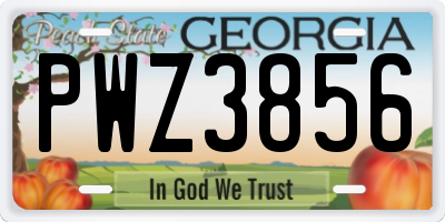 GA license plate PWZ3856