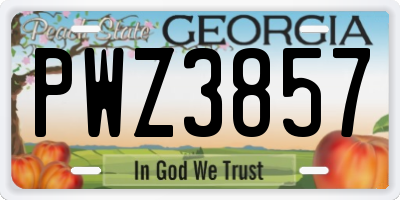GA license plate PWZ3857