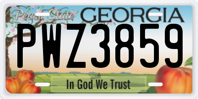 GA license plate PWZ3859