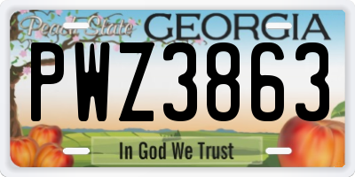 GA license plate PWZ3863
