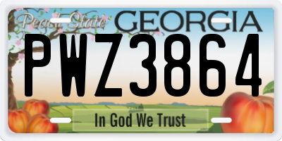 GA license plate PWZ3864