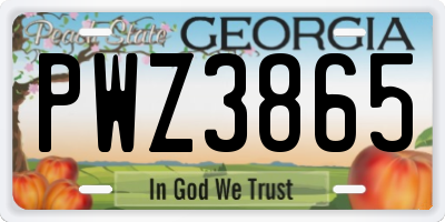GA license plate PWZ3865