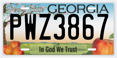 GA license plate PWZ3867