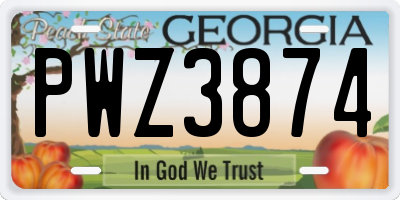 GA license plate PWZ3874
