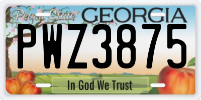 GA license plate PWZ3875
