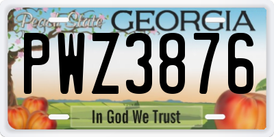 GA license plate PWZ3876
