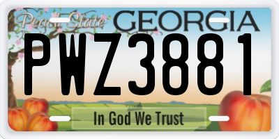GA license plate PWZ3881