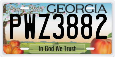 GA license plate PWZ3882