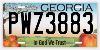 GA license plate PWZ3883
