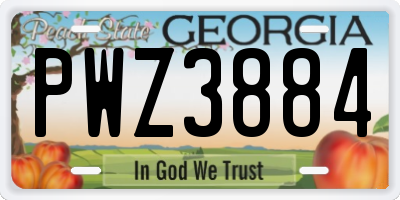 GA license plate PWZ3884