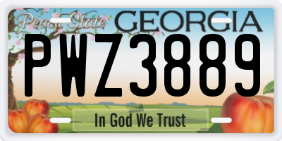 GA license plate PWZ3889