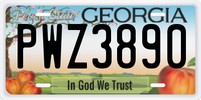 GA license plate PWZ3890