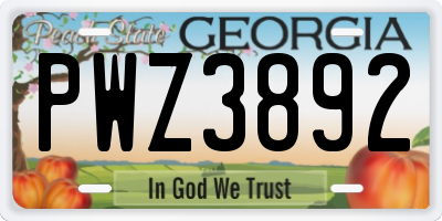 GA license plate PWZ3892