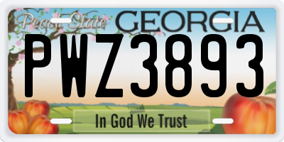 GA license plate PWZ3893