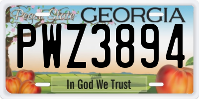 GA license plate PWZ3894