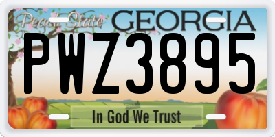 GA license plate PWZ3895
