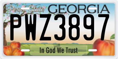 GA license plate PWZ3897