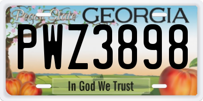 GA license plate PWZ3898