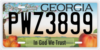 GA license plate PWZ3899