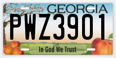 GA license plate PWZ3901