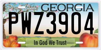 GA license plate PWZ3904