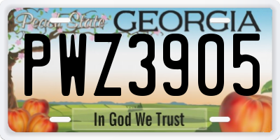 GA license plate PWZ3905