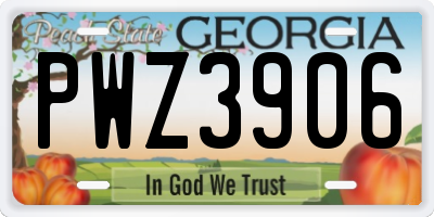 GA license plate PWZ3906