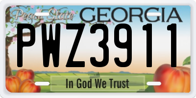 GA license plate PWZ3911
