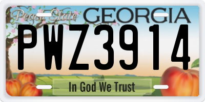 GA license plate PWZ3914