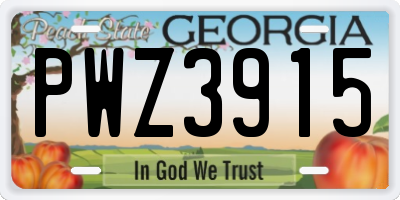 GA license plate PWZ3915