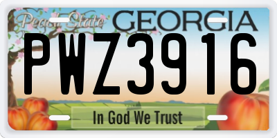 GA license plate PWZ3916