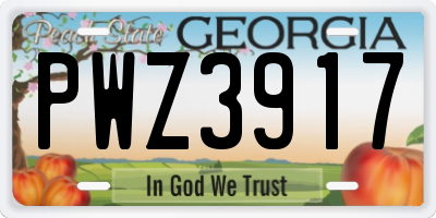 GA license plate PWZ3917