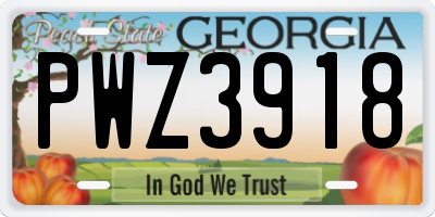 GA license plate PWZ3918